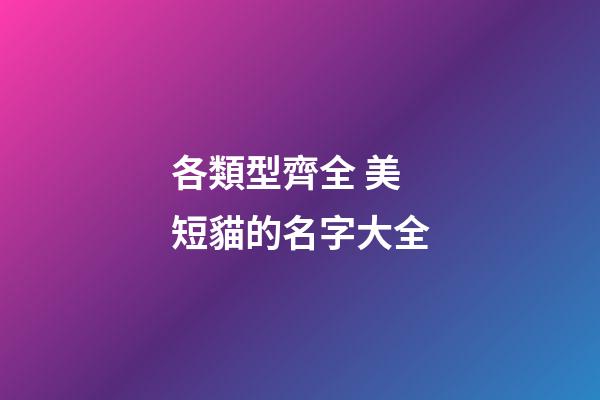 各類型齊全 美短貓的名字大全